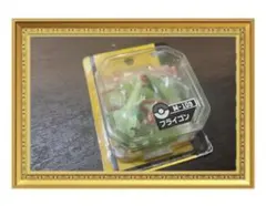 【未開封】ポケモン　モンコレ M-109 フライゴン