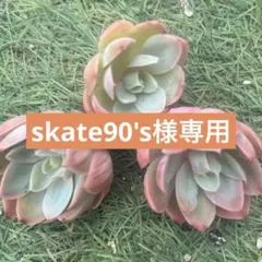 skate90's様 リクエスト 2点 まとめ商品