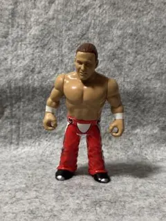 ブルータスビーフケーキ プロレスフィギュア ハズブロ WWF WWE WCW