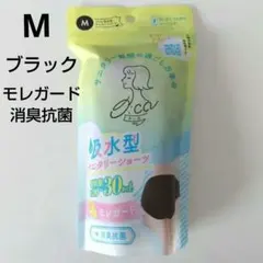 Item thumbnail for item 8efd2b09-16e8-4175-b61b-1e2bbf06b161