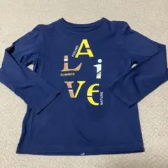 Item thumbnail for item 39353cbc-9afb-41ce-a903-5305c121ec21