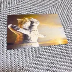 ねこ ポストカード