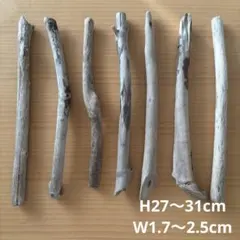 Item thumbnail for item 6f4ecdef-ac38-426e-8d35-174b19281389