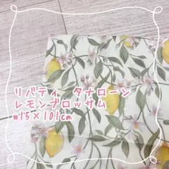 ぴころ様 リクエスト 2点 まとめ商品