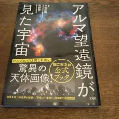 Katsuhiro Saito様 リクエスト 2点 まとめ商品