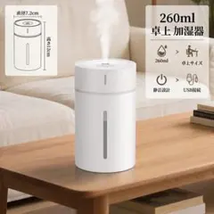 加湿器 卓上 小型 260ML ミニ加湿器 持ち運び便利 USB 水漏れ防止