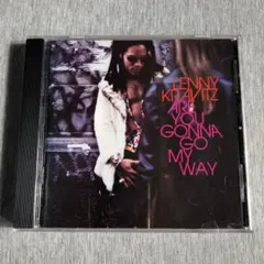 レニークラヴィッツ