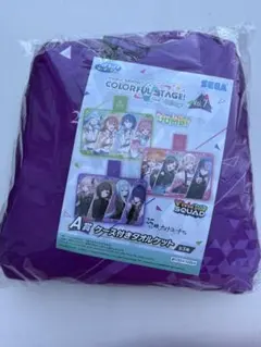 プロセカ SEGAラッキーくじ 1番くじ A賞 ケース付きタオルケット ニーゴ