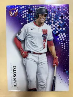 Item thumbnail for item dbe4a69b-dde2-4baf-96da-221d2a0269d1