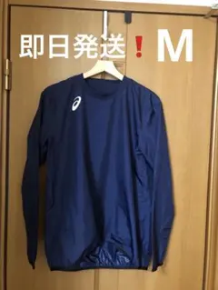 Item thumbnail for item a10b66d9-ee2b-4650-915e-0436c7aecbf3