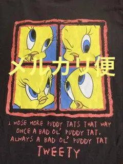 Looney Tunes トゥイーティー Tシャツ 半袖 Mサイズ 希少のサムネイル