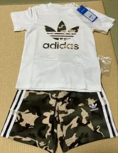 Item thumbnail for item b424705b-8aec-45a2-8249-4e0ec21f622e