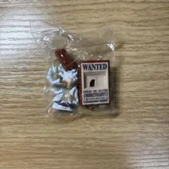 ワンピースチョコサプ　ニカ