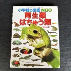 Item thumbnail for item 4eb8945f-b134-4b5f-84d3-578918ef0b3e