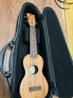 Item thumbnail for item 9627cbf0-5acb-4276-b46f-3f6438caa5b8