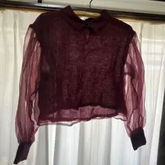 ZARA バーガンディ シースルーブラウス　M