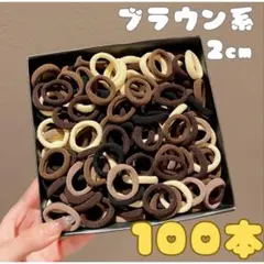 ヘアゴム　大容量　女の子　保育園　髪ゴム　小さめ　くすみカラー　１００本　黒　茶