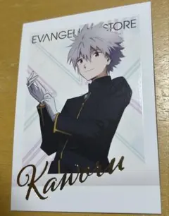 ぱしゃこれ　エヴァ　エヴァンゲリオン　渚カヲル　カヲル　箔押しレア