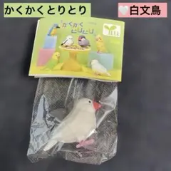 かくかくとりとり⭐︎白文鳥