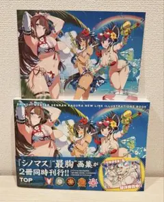 シノビマスター 閃乱カグラ NEW LINK B2タペストリーセット　未開封 シノビマスター 閃乱カグラ NEW LINK B2タペストリーセット 未開封