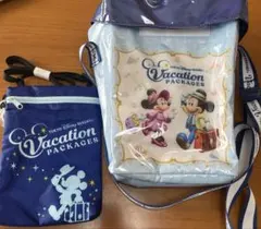 東京ディズニーリゾート バケーションパッケージバッグ ポップコーンケース