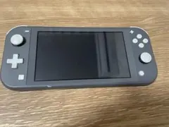 Nintendo Switch Lite グレー 本体