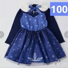 新品　リトシー　アナ雪　ワンピース　100㎝　ネイビー　アナと雪の女王　ドレス