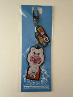 スキズ チャンビン 刺繍キーホルダー dwaekki