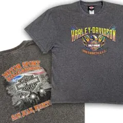 【美品】 ハーレー ダビッドソン イーグル Tシャツ グレー 2XL
