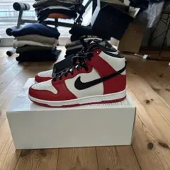 NIKE BY YOU ダンクハイ シカゴカラー 28cm