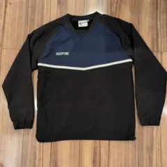 Item thumbnail for item 32c567d8-2539-438e-bd4e-a95f2f0db3de