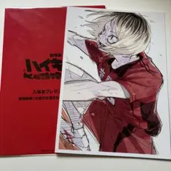 ハイキュー　ゴミ捨て場の決戦　入場者特典　孤爪研磨　ビジュアルボード