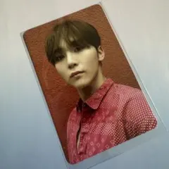 スングァン ヘンガレ トレカ