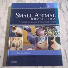 Item thumbnail for item d5167dde-930e-4713-ba82-da58bb83b7be