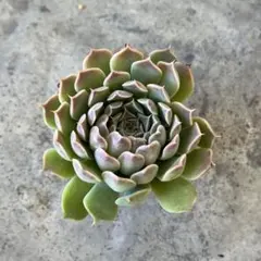 そらみー様 リクエスト 3点 まとめ商品