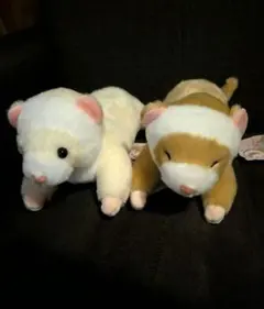 くったりろんぐフェレットチャーミーST らてちゃんおねむ ミルミル セット