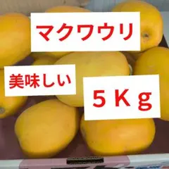 マクワウリ　美味しい　5Kgのサムネイル