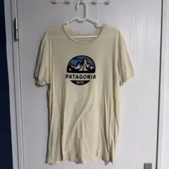 PATAGONIA オーガニックコットン Tシャツ M