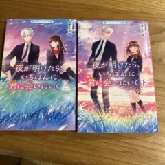 夜が明けたら、いちばんに君に会いにいく　野いちごジュニア文庫