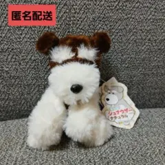 くったりシュナウザー ウエルカム VMC コンプリート ≪7月の新商品≫くったりシュナウザーウェルカム☆アミューズプライズ