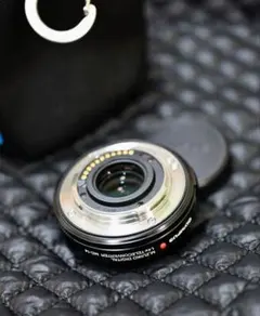 Item thumbnail for item 4972a1c1-005f-4314-8bbb-c55c456a5d99