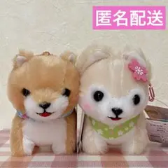 うーたん様