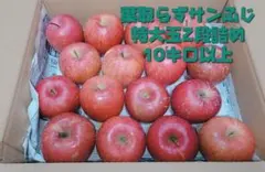 りんご　青森県産　特大玉　葉取らずサンふじ 2段詰め　完熟　お買い得　家庭用