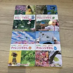 Item thumbnail for item 5f0e5adf-44bf-4f97-8aa9-44759eaab216