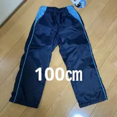 Item thumbnail for item 70957c8f-28cb-4510-80e2-3181a34ff80f