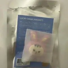 SEVENTEEN ミニティーン MINITEEN トラム ランダム　ジョンハン