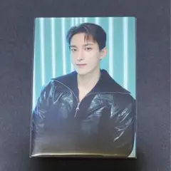 seventeen follow to japan セブチ トレカ ドギョム