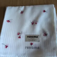 Item thumbnail for item 910b9173-9f92-4c0b-bbc5-383e72be01a9