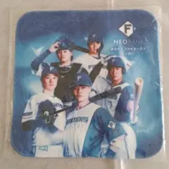 Item thumbnail for item 43d6bea1-9462-4d3f-9a47-440817395d8e