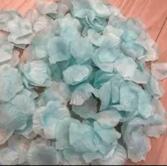 Item thumbnail for item bf86acc6-a4c2-455e-afd4-c386d7c63916